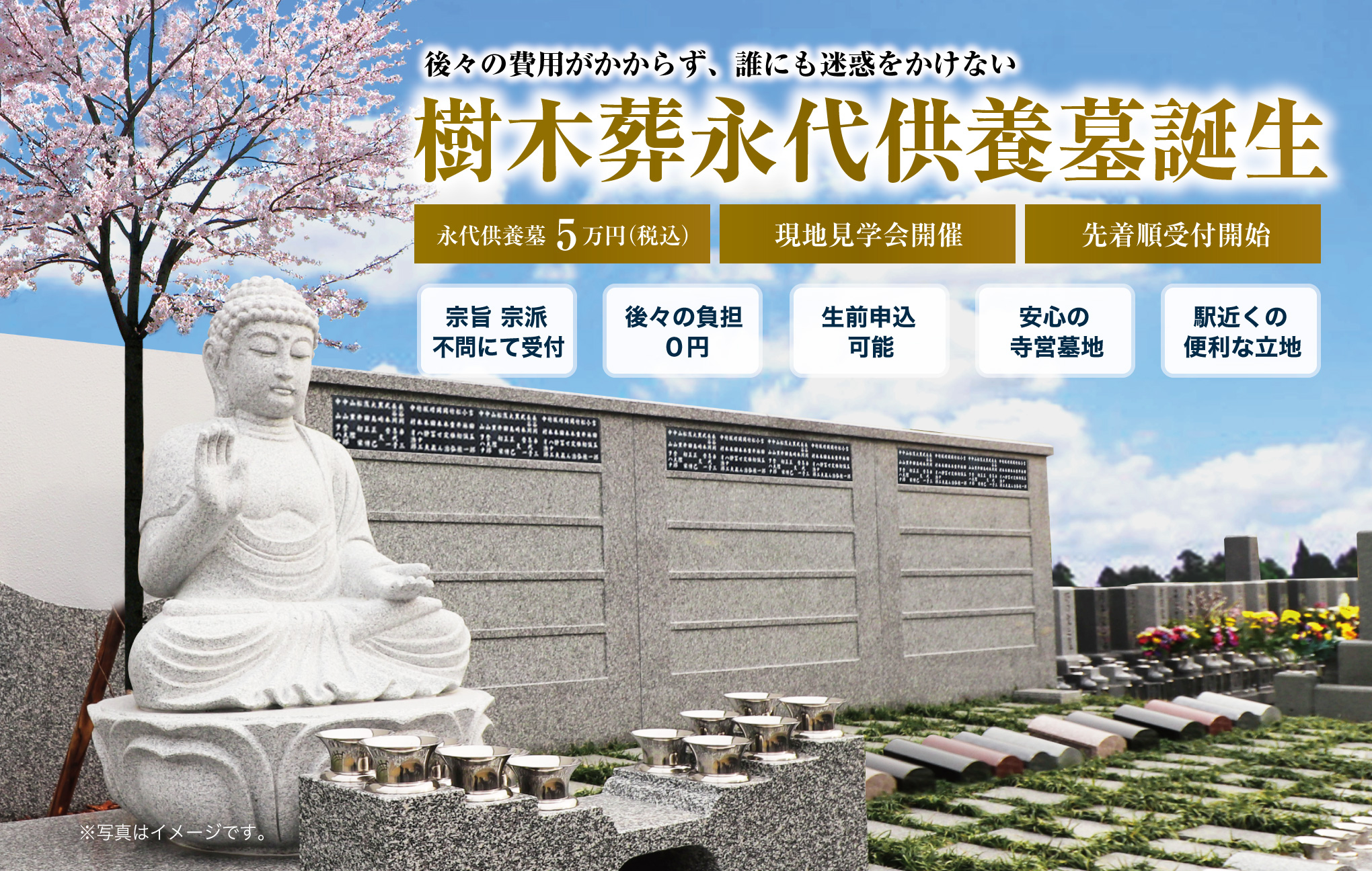 樹木葬永代供養墓誕生